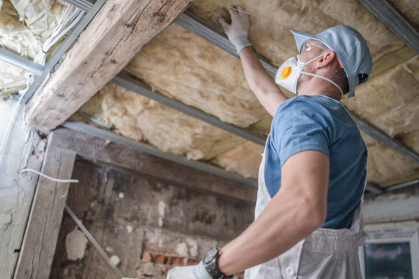 Best Insulation Maintenance and Repair in Holiday Island, AR