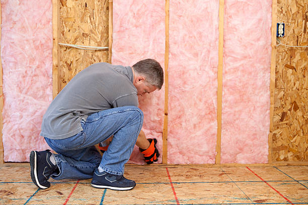 Professional Insulation Contractor in Holiday Island, AR