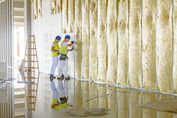 Best Cellulose Insulation in Holiday Island, AR